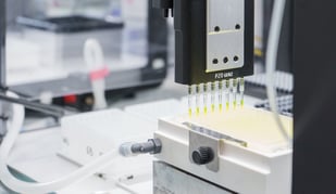 Natural DNA-2 Natural DNA-2